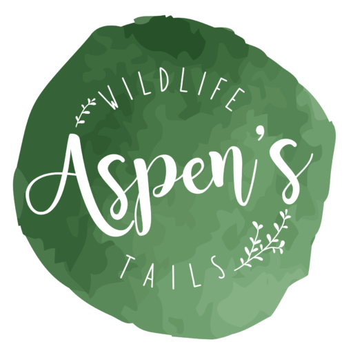 Aspen's Wildlife Tails